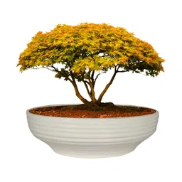 LASAKI White Ceramic Planter With Holder-image-7