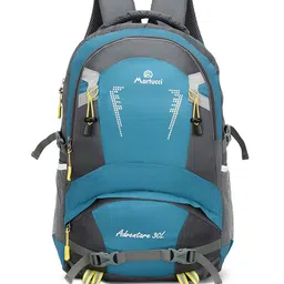Martucci Unisex Teal & Grey Colourblocked Backpack with Reflective Strip-picture-10