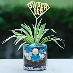 Spider Plant Tribute to Remarkable Dads-image-96