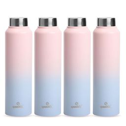 Speedex Pink & Blue Set of 4 Stainless Steel Water Bottle-24
