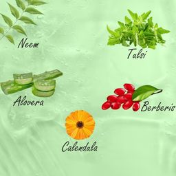 ADVEN Set Of 2 Neem & Tulsi Face Wash With ABC -100g Each image 4