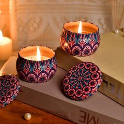 TAYHAA 2 Pieces Peach& Blue Candle Jars With Lids-2