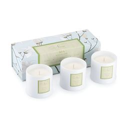 NIANA Blue & White 3 pieces Jar Candle-image-69