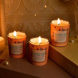 TAYHAA  Peach 3 Pieces Solid French Juniper lavender Aroma Fusion Illuminated Jar Candles-picture-12