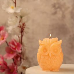 Parkash Candles Orange Coloured Owl Sandalwood Scented Candle-23