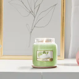 YANKEE CANDLE Solid Medium Vanilla Scented Jar Candles-image-90