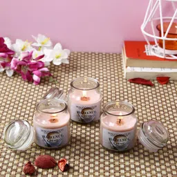 HOSLEY Set Of 3 Pink Hazelnut Creme Highly Fragranced Jar Candles-image-65