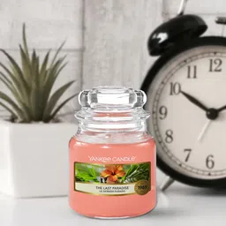YANKEE CANDLE Pink Small Jar Scented Candles-The Last Paradise-image-36