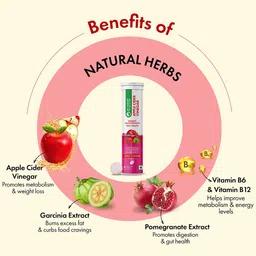 DR. VAIDYA'S Set Of 2 Apple Cider Vinegar Effervescent Tablets -15 Tablets Each image 3
