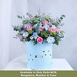 Blushing Pink and Blue Daisy Medley-image-11