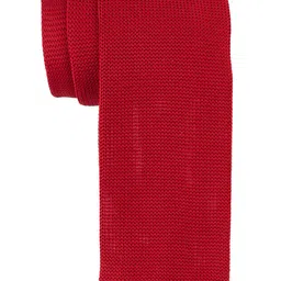 The Tie Hub Men Maroon Woven Design Broad Tie-image-49