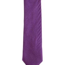 Alvaro Castagnino Men Purple Silk Broad Tie-image-27