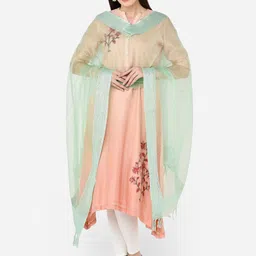 Dupatta Bazaar Sea Green Solid Organza Dupatta-41