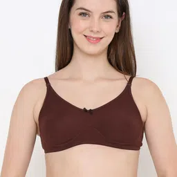 Berry's Intimatess Brown Color for Everyday Non-Wired & Non Padded All Day Comfort Bra-image-47