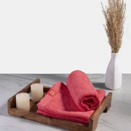 Jockey Pack of 3 Coral Cotton Terry 500 GSM Ultrasoft & Durable Solid Face Towel-picture-24