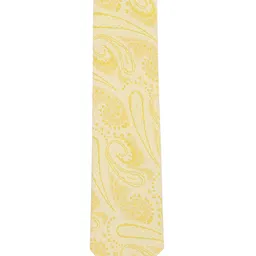 Van Heusen Men Yellow Printed Accessory Gift Set-31