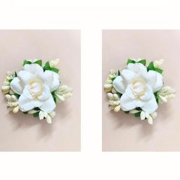 Hair Flare Women White & Green Set of 2 Alligator Hair Clip-image-25