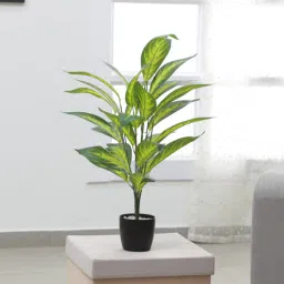Polyester Dieffenbachia Artificial Plant With Pot by Arick Decor-picture-38
