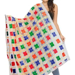Exotic India Ethnic Motifs Embroidered Chiffon Dupatta-19