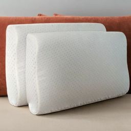 Sleepsia Set of 2 White Solid Therapedic Pillow-23