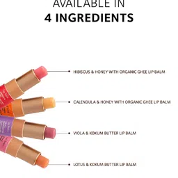Soultree Calendula & Honey with Organic Ghee & Cold Pressed Oils Lip Balm - 3.5gm image 4