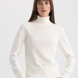 DeFacto Turtle Neck Acrylic Pullover Sweater-53