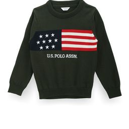 U.S. Polo Assn. Kids Boys Graphic Printed Pure Cotton Pullover-picture-46