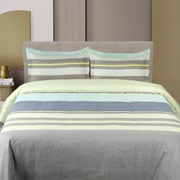 GAPU & BALY Grey & Blue Striped 120 TC King Bedsheet with 2 Pillow Covers-image-97
