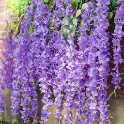 WELL ART GALLERY Purple 4 Pieces Hanging Blossom Artificial Flower-image-88