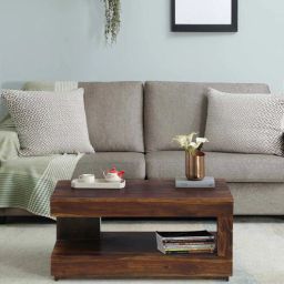 woodsworth from pepperfry Brent Sheesham Wood Coffee Table In Provincial Teak Finish-picture-8
