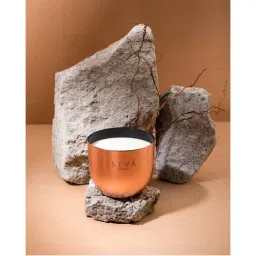 SEVA HOME Heirloom Classic Berries Candle Luxury Gifting 40 Hour Burn-picture-30