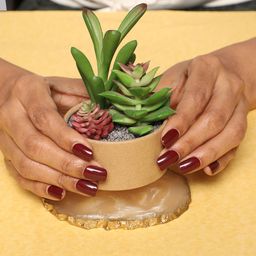 Lick 12Pcs Oval Shape Burgundy Reusable False Press On NailsWith Application Kit-18