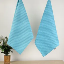 Jamio Firati 2-Pcs Blue Self Design Pure Cotton Kitchen Towels-image-95