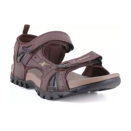 Sparx Men Brown Solid Sandals-image-67