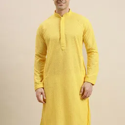 Sanwara Ethnic Motifs Embroidered Chikankari Cotton Straight Regular Kurta-image-43