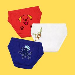 NUSYL Boys Pack of 3 Red,White,Blue Printed Briefs-image-82