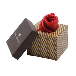 Blackberrys Men Printed Silk Pocket Square-image-86