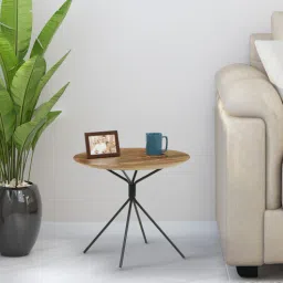bohemiana from pepperfry Liebman Metal End Table In Natural Finish-picture-48