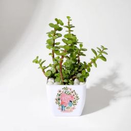 Love You - Jade Plant With Planter-image-23