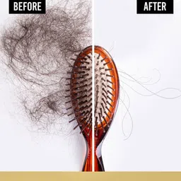 Pantene Hair Science Hairfall Control Shampoo with Pro-Vitamins & Vitamin B - 1Ltr image 3