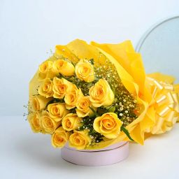 A Sunny Serenade-image-18