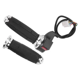 EV 3 SPEED WITH PARKING SWITCH DOUBLE SIDE THROTTLE-4