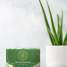 LUXURIATE Naturally Refreshing Aloe Vera and Basil Soap 125 gm-70