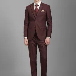 Louis Philippe Men Textured Notched Lapel Single-Breasted Formal Three-Piece Suit-image-18
