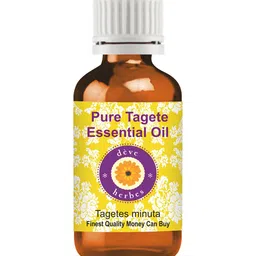 Deve Herbes Pure Tagete Essential Oil Natural Therapeutic Grade Steam Distilled 5ml-image-21