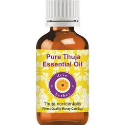 Deve Herbes Pure Thuja Essential Oil - Natural Therapeutic Grade Steam Distilled - 10ml-image-79