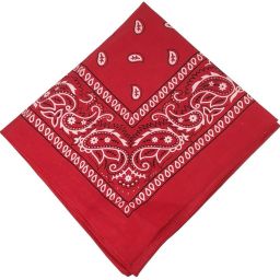 Women Printed Bandana-13