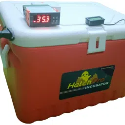 30 eggs fully automatic egg incubator machine for chicken , duck , desi eggs Egg Incubator-11