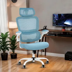 drogo Ergonomic Office Chair for Work from Home Computer Chair with Lumbar Support Mesh Office Adjustable Arm Chair-picture-16