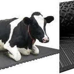 Long Lasting Cow Mat, use for Buffalo Bull and Horses (8X5) BPA Free Cow, Dog, Hamster, Guinea Pig, Miniature Pig Pet Mat-image-84